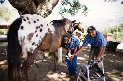 Rancho Oso Cottage 5 - image 15