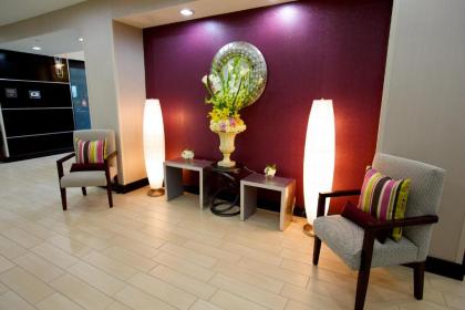 Hampton Inn and Suites Missouri City - image 3