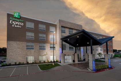 Holiday Inn Express & Suites- Sugar Land SE - Missouri City an IHG Hotel - image 10