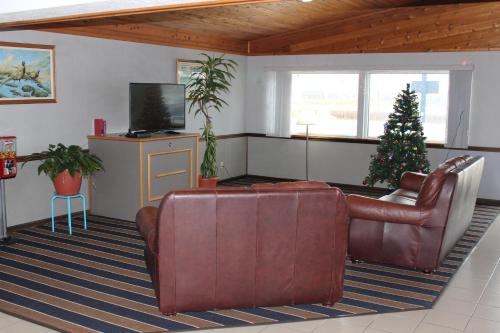 DeSoto Inn Suites - image 3