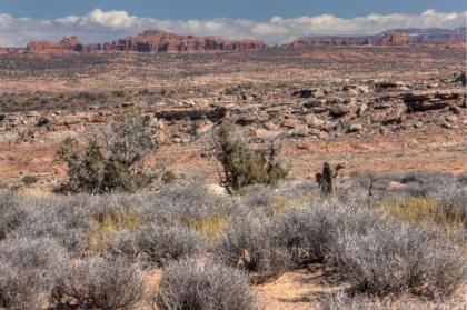 Under Canvas Moab - image 1