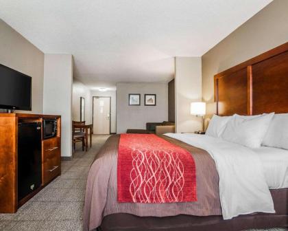 Comfort Inn & Suites Moberly - image 3