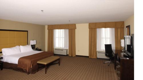 Holiday Inn Mobile Airport an IHG Hotel - image 3