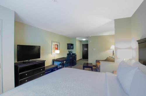 Holiday Inn Express Hotel & Suites Mobile West an IHG Hotel - image 4