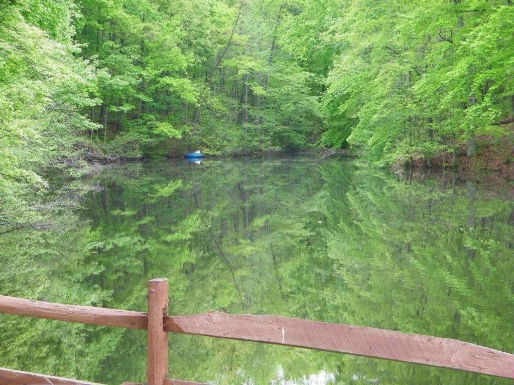 Lake Myers Lakeside Villa 16 - image 6