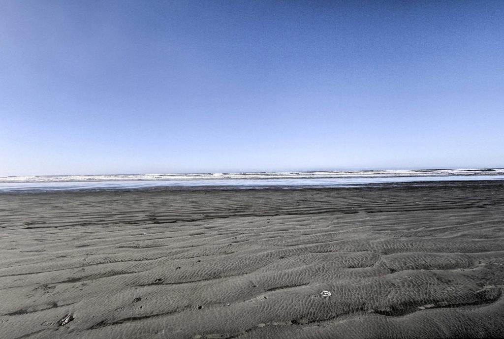 Pacific Beach House with Yard - Walk to the Ocean! - image 4