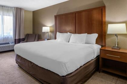 Comfort Inn Moline - Quad Cities - image 10