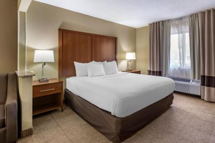 Comfort Inn Moline - Quad Cities - image 14