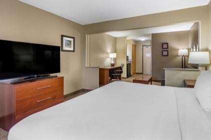 Comfort Inn Moline - Quad Cities - image 15