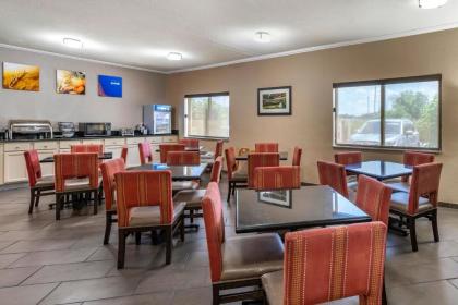 Comfort Inn Moline - Quad Cities - image 4