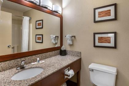 Comfort Inn Moline - Quad Cities - image 5