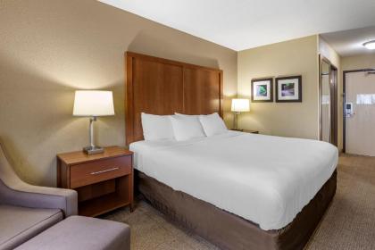 Comfort Inn Moline - Quad Cities - image 8