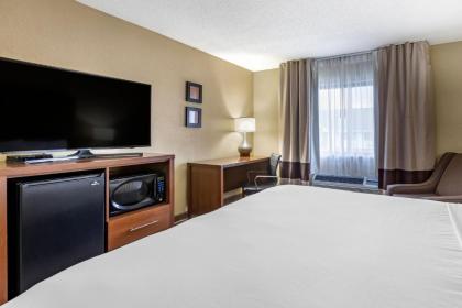 Comfort Inn Moline - Quad Cities - image 9