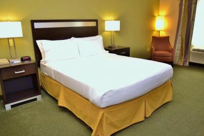 Holiday Inn Express Hotel & Suites Center Township an IHG Hotel - image 2