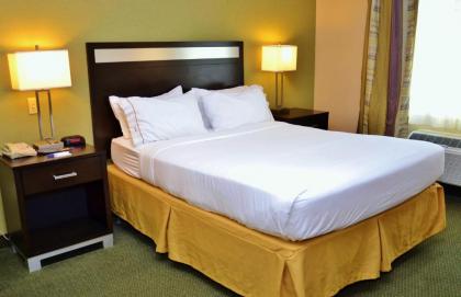 Holiday Inn Express Hotel & Suites Center Township an IHG Hotel - image 3