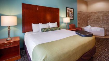 Best Western Plus Monahans Inn and Suites - image 15