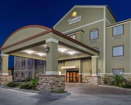 Comfort Inn  Suites monahans