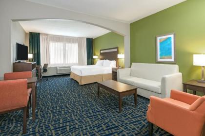 Holiday Inn Express Hotel and Suites Monahans I-20 an IHG Hotel - image 14