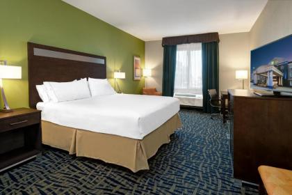 Holiday Inn Express Hotel and Suites Monahans I-20 an IHG Hotel - image 15