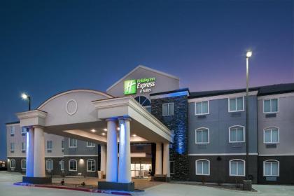 Holiday Inn Express Hotel and Suites Monahans I-20 an IHG Hotel - image 6