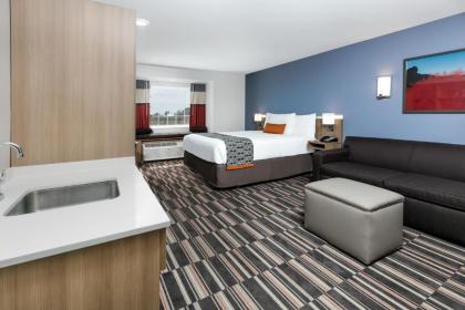 Microtel Inn and Suites by Wyndham Monahans - image 14