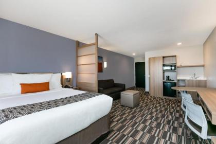 Microtel Inn and Suites by Wyndham Monahans - image 3