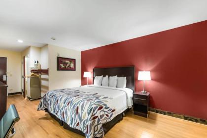 Red Roof Inn & Suites Monee - image 8