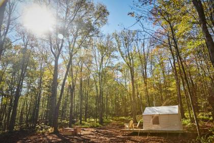 tentrr   Swinging Bridge Sanctuary