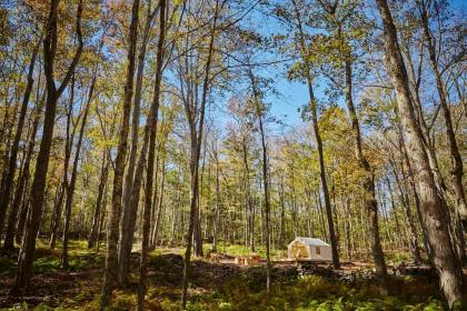 Tentrr - Swinging Bridge Sanctuary - image 8