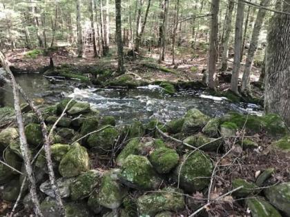 Tentrr - Wally Meadows at Purgatory Falls - image 2