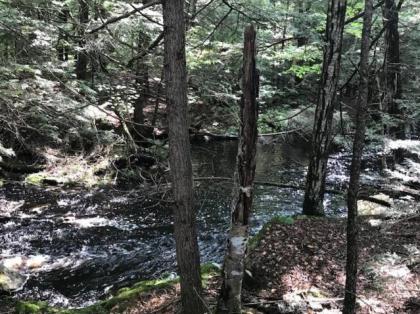 Tentrr - Wally Meadows at Purgatory Falls - image 5