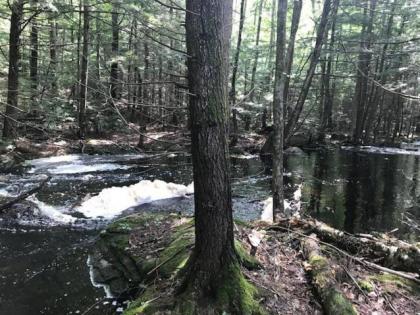 Tentrr - Wally Meadows at Purgatory Falls - image 7