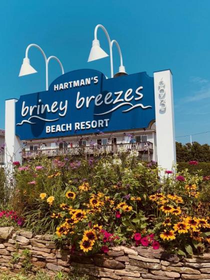 Hartman's Briney Breezes Beach Resort - image 6