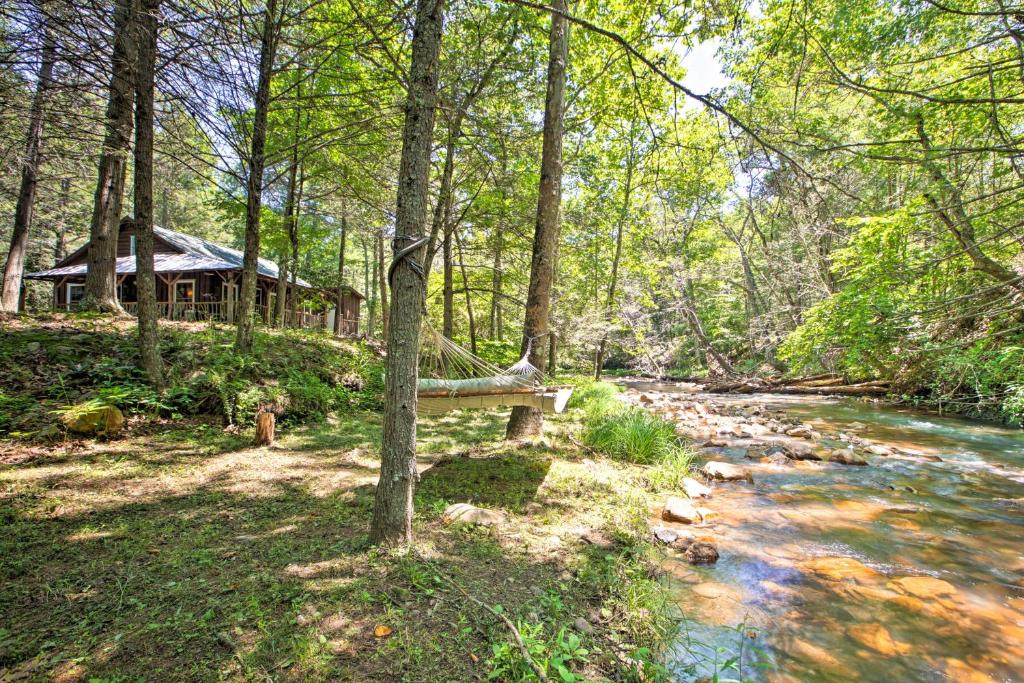 Modern Cabin Retreat on 10 Acres with Trout Stream! - image 7