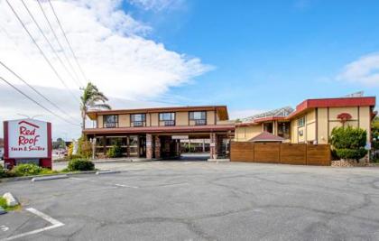 Red Roof Inn & Suites Monterey - image 3