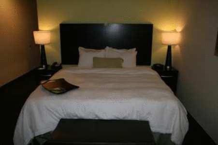 Hampton Inn - Monticello - image 3