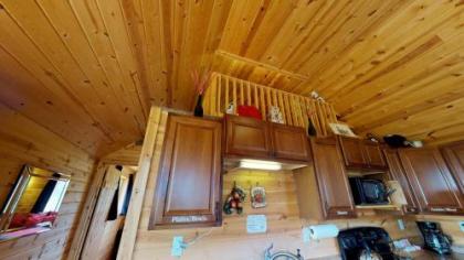 White Pine Cabin by Canyonlands Lodging - image 3