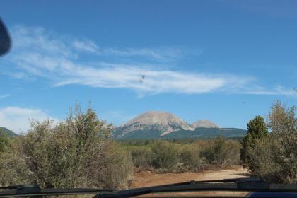 Wolf Springs Cabin #4 - image 16