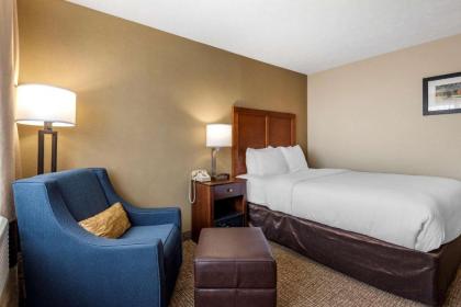 Comfort Inn & Suites at Maplewood - image 11