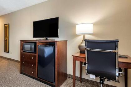 Comfort Inn & Suites at Maplewood - image 12