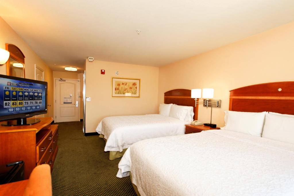 Hampton Inn Montrose - image 5