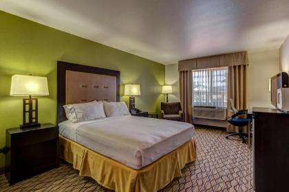 Holiday Inn Express Hotel & Suites Montrose - Townsend an IHG Hotel - image 4