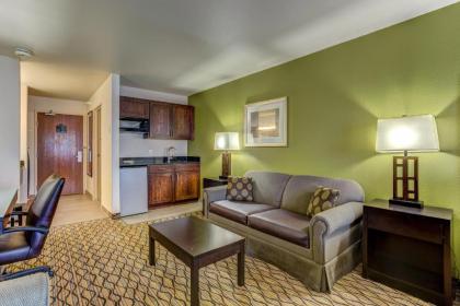 Holiday Inn Express Hotel & Suites Montrose - Townsend an IHG Hotel - image 9