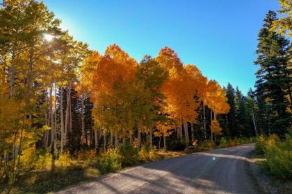 Retreat with Patio Visit San Juans and Telluride - image 9