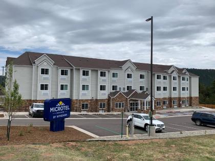 Microtel Inn & Suites by Wyndham Woodland Park - image 15