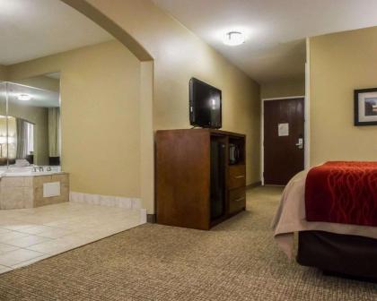 Comfort Inn & Suites Morgan City - image 14