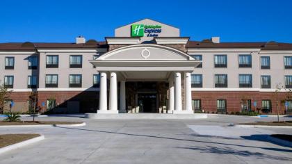 Holiday Inn Express Hotel & Suites Morgan City- Tiger Island an IHG Hotel - image 14