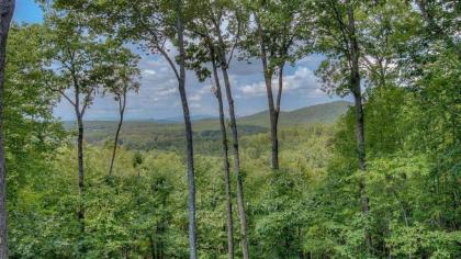 Owls Nest by Escape to Blue Ridge - image 16