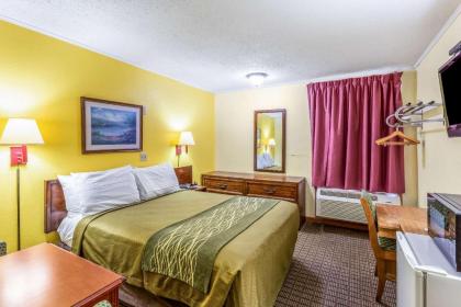 Econo Lodge Morgantown - image 6