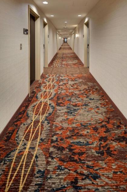 Hampton Inn Morristown I-81 TN - image 3